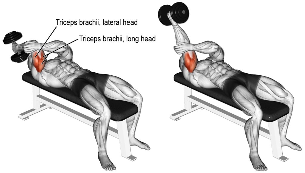 Dumbell Triceps Extension